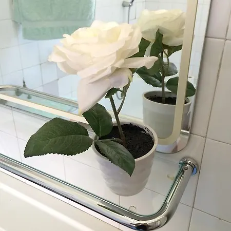 게스트하우스 Bosanska Kuca 비소코